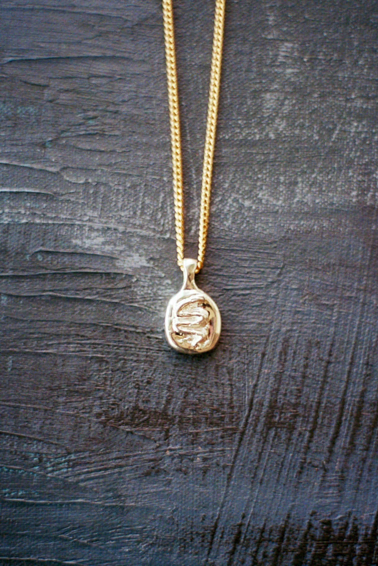 Snake pendant on chain